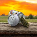Travel PopCan Container