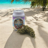 Travel PopCan Container