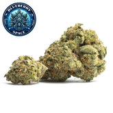Blueberry Space Premium Flower