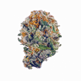 Bob Hope Premium Flower