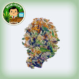Bob Hope Premium Flower