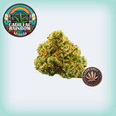 Cadillac Rainbow THCa