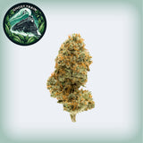 Ghost Train Haze THCa