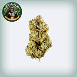 Gorilla Glue #4 THCa (Smalls)