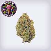 Berry Gelato THCa