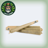 Jack Herer 1G Pre-Roll