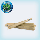 Blue Gushers 1G Pre-Roll