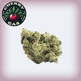 Cherry Gas Premium Flower