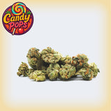 Candy Pops Premium Flower (Minis)