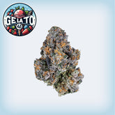 Gelato #41 THCa