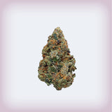 🍨 Gelato Cookies THCa