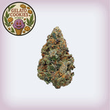 🍨 Gelato Cookies THCa