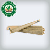 Girl Scout Cookies 1G Pre-Roll