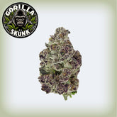 π¦Gorilla Skunk THCa