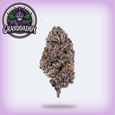 Granddaddy Purple THCa