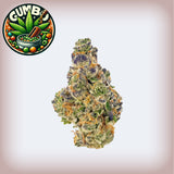 Gumbo THCa