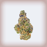 Gumbo THCa
