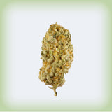 Jack Herer THCa