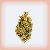 Jungle Cake Premium Flower (Smalls)