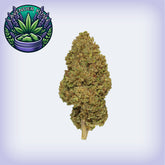 Lavender Kush CBD Hemp Flower