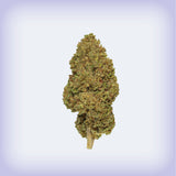 Lavender Kush CBD Hemp Flower
