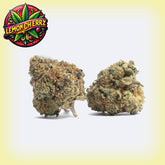 Lemon Cherry Runtz Premium Flower