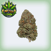 Lemon Octane CBD Hemp Flower