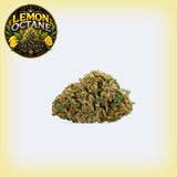 Lemon Octane Premium CBD Flower (Oz Sale)