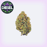 Lilac Diesel THCa