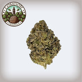 London Truffle THCa