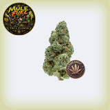 Mule Fuel Premium Flower