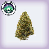 Northern Lights THCa