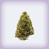 Northern Lights THCa