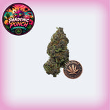 Pandemic Punch THCa Premium Flower
