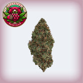 Raspberry Bear Claw CBD Flower
