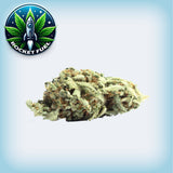 Rocket Fuel CBD Hemp