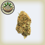 Vanilla Cream Pie Premium Flower