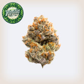 π¦ Vanilla Frosting THCa (Smalls)