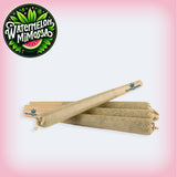 🍉 Watermelon Mimosa 1G Pre-Roll