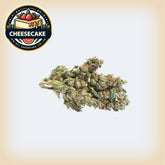 🍰 Cheesecake Premium Flower (Smalls).