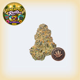 Pineapple Runtz Premium Flower
