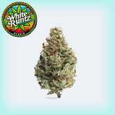 White Runtz THCa (Smalls)