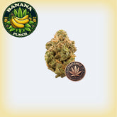 ๐ Banana Punch Premium Flower (OZ Sale)