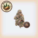 πͺ Biscotti THCA Flower