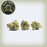 Black Truffle THCa