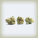 Black Truffle Premium Flower