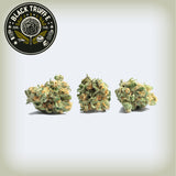 Black Truffle Premium Flower