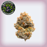 🫐 BlackBerry THCa