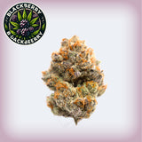 🫐 BlackBerry THCa