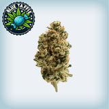 Blue Taffie Premium Flower (Smalls)